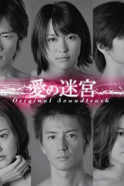 爱之迷宫