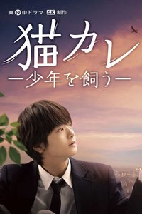 猫男友 我养了个少年