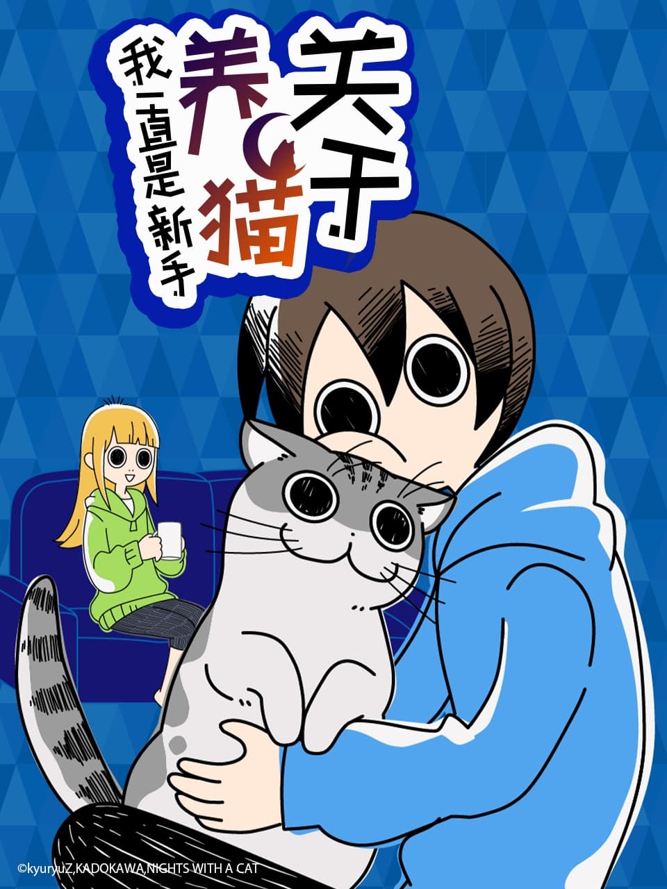 与猫共度的夜晚