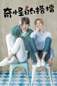 奇怪的搭档