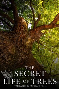 The Secret Life of Trees