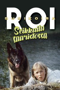 Susikoira Roi – seikkailu saaristossa