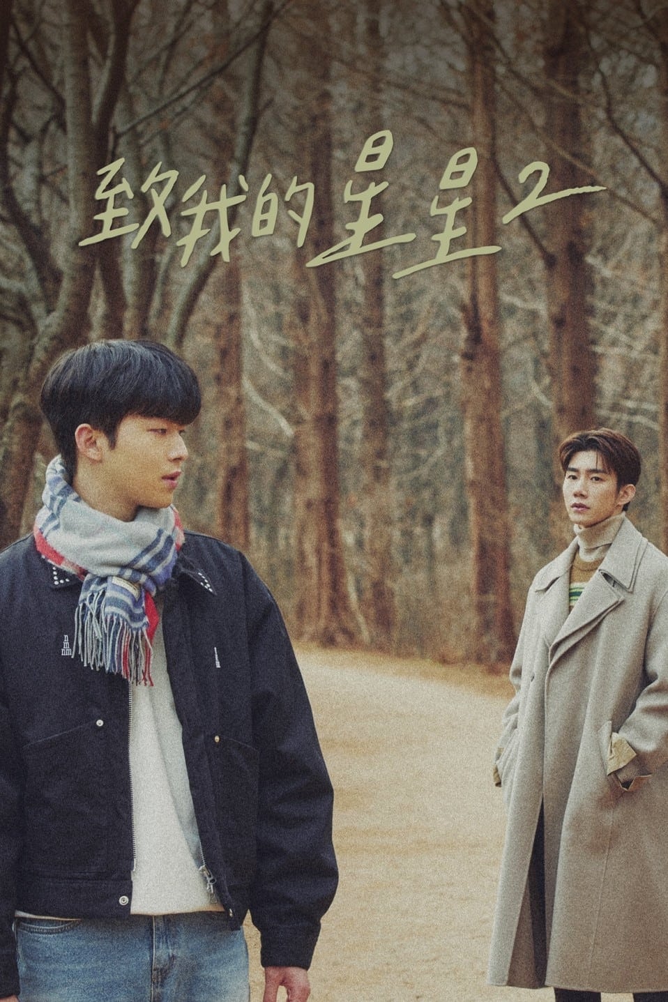 致我的星星 第 2 季