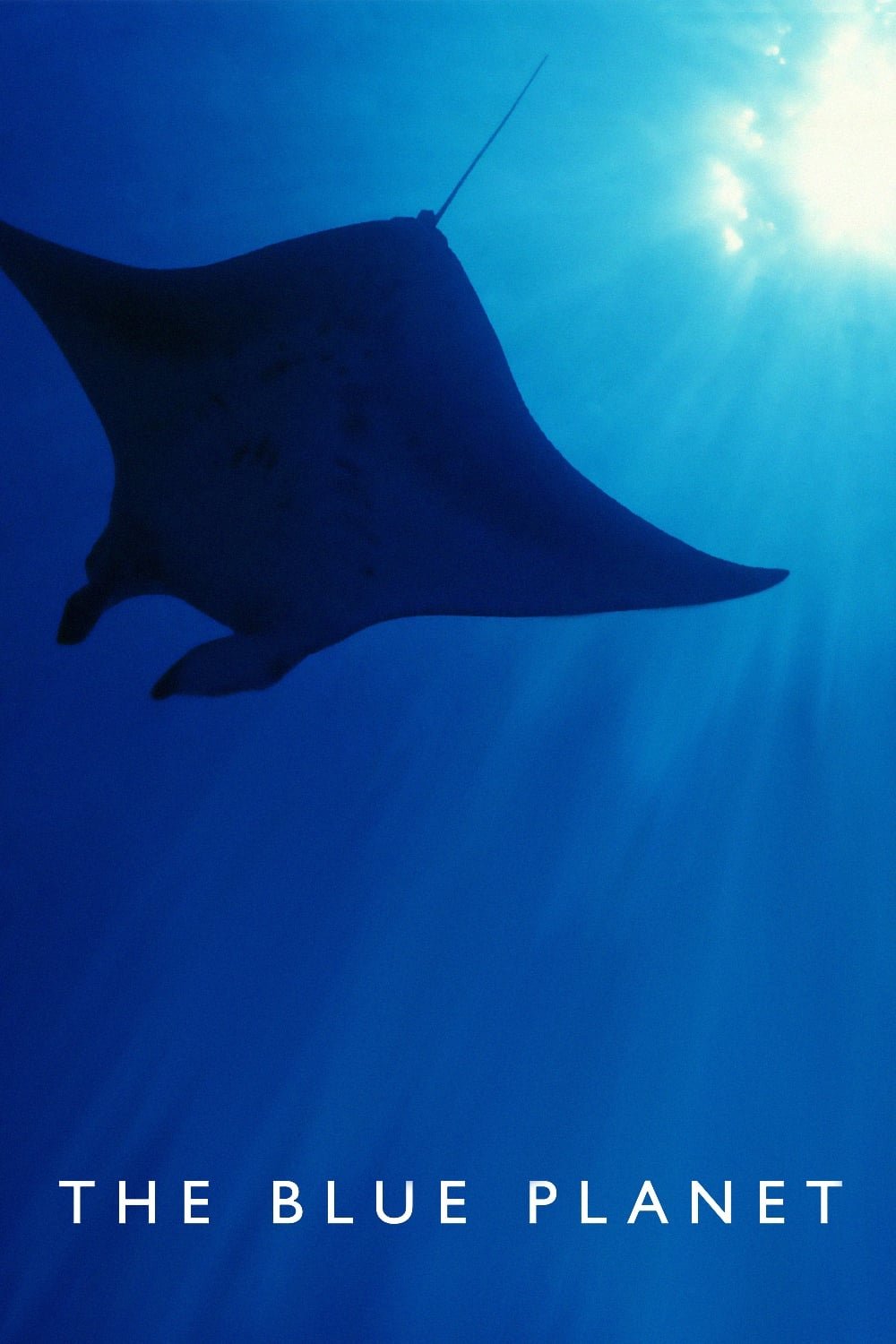 蓝色星球 第 1 季 (特别篇)