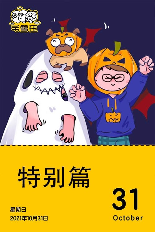 毛雪汪 (特别篇)