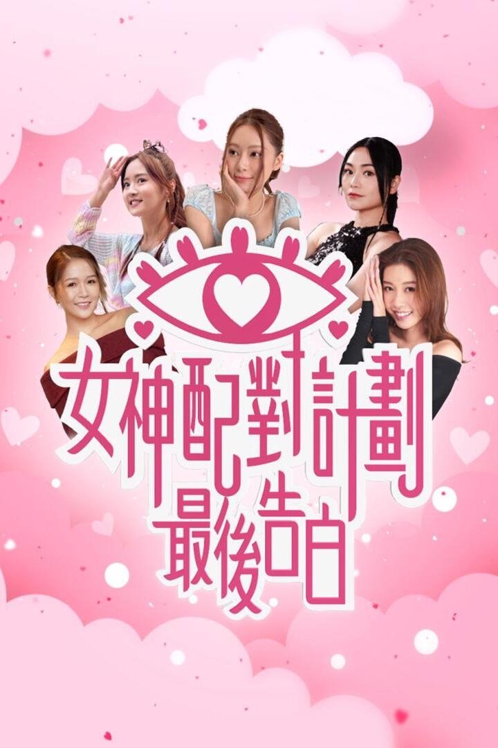 女神配对计划 最后告白