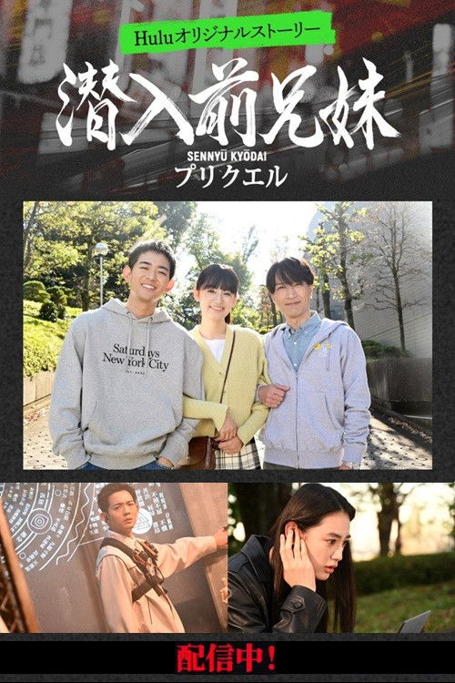 潜入兄妹 特殊诈欺特命搜查官 (特别篇)