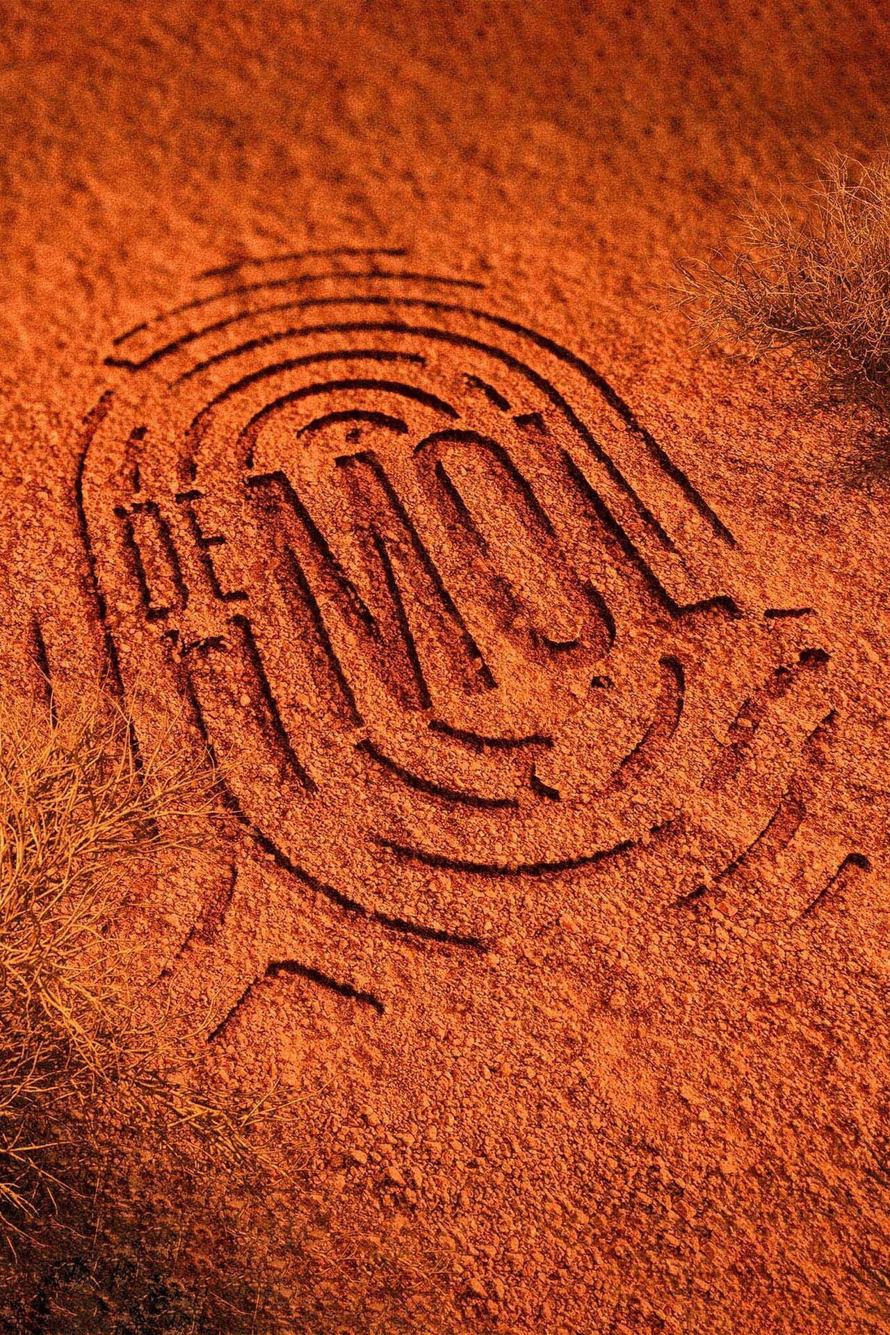 The Mole 第十一季