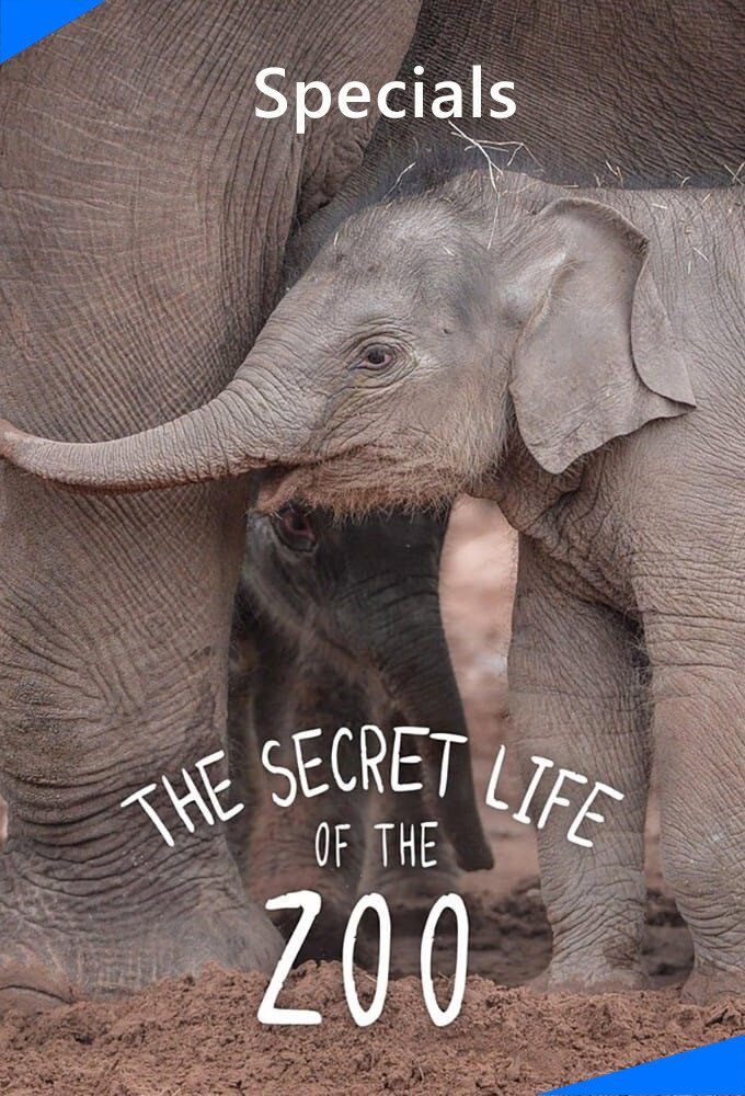 The Secret Life of the Zoo (Specials)
