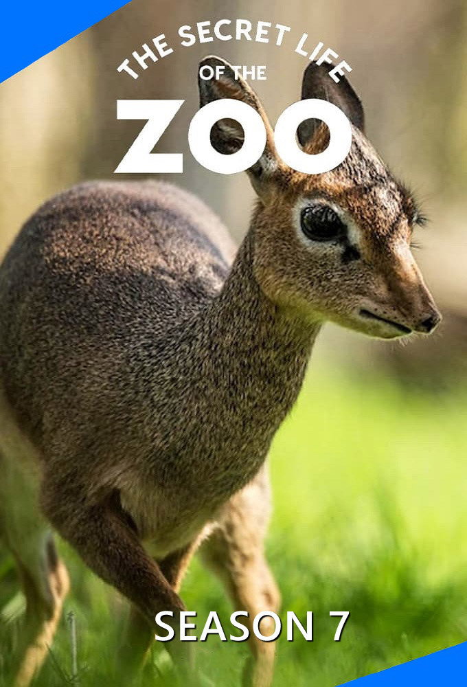 The Secret Life of the Zoo Season 7