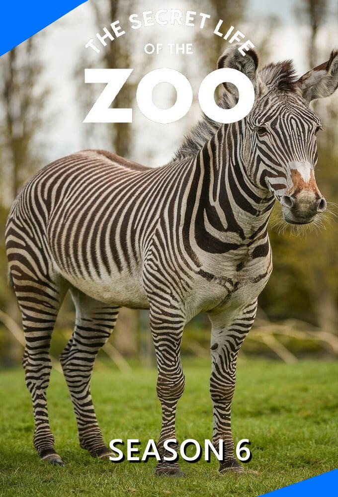 The Secret Life of the Zoo Season 6