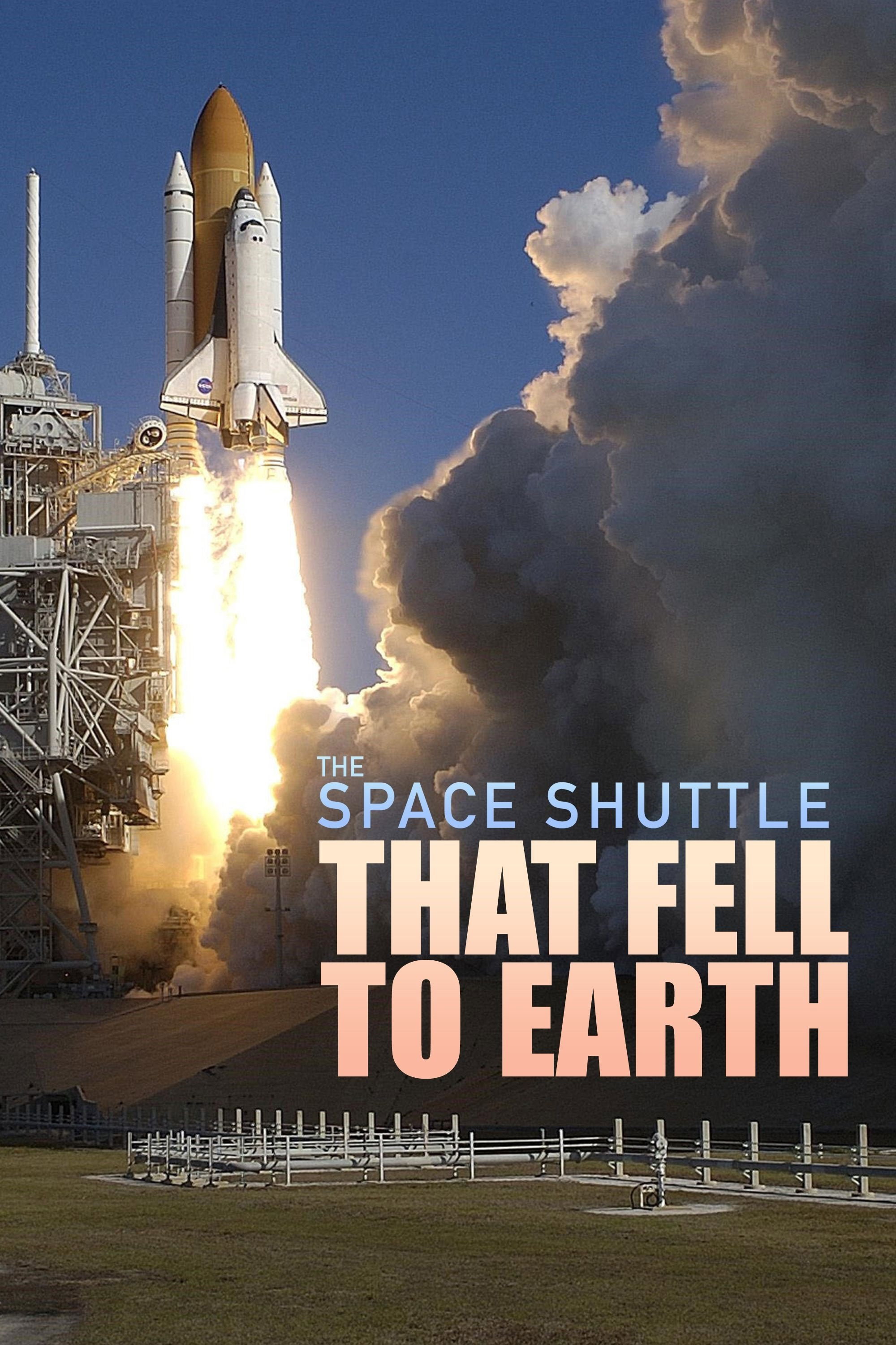 The Space Shuttle That Fell to Earth (Miniseries)