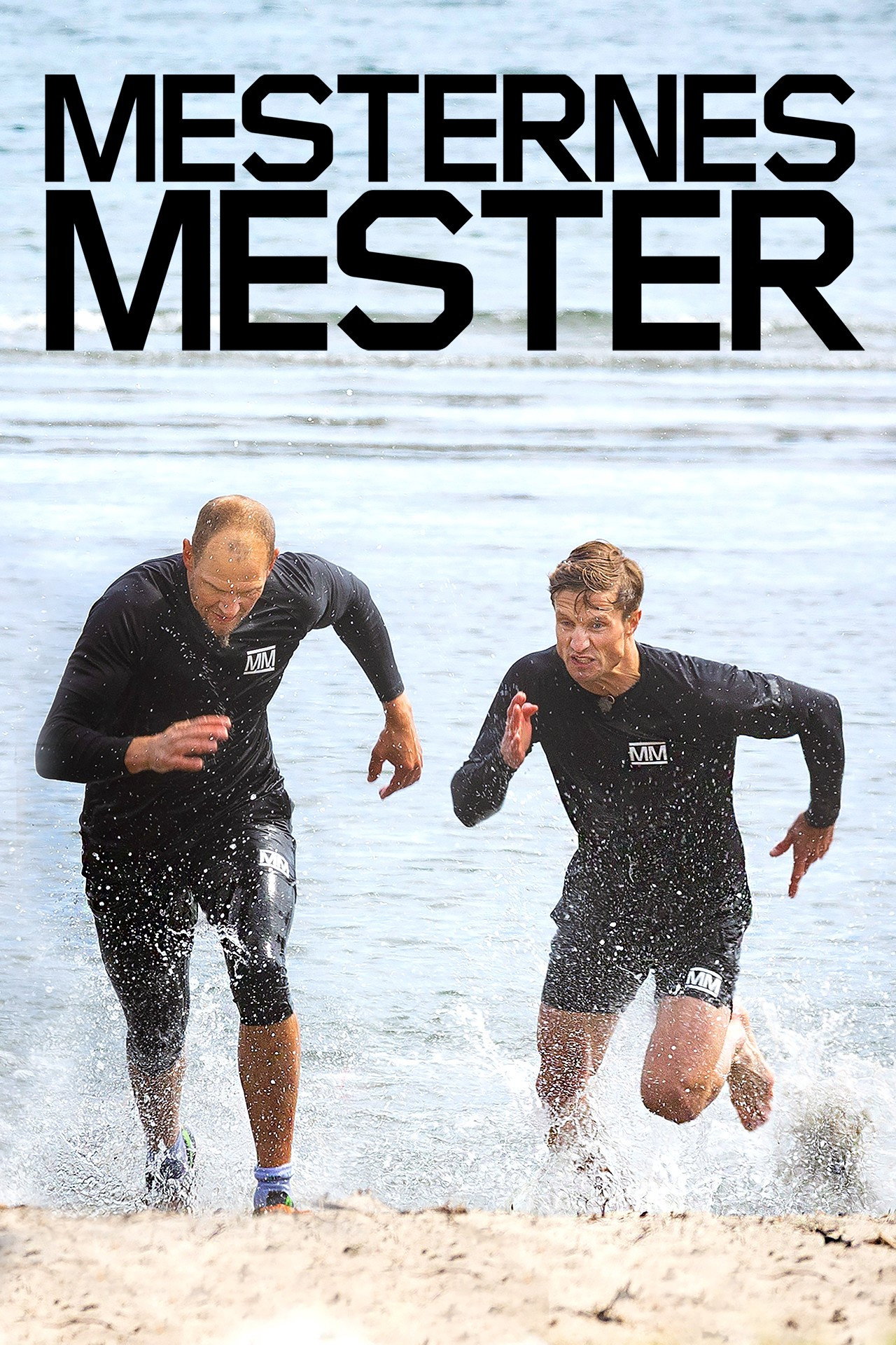 Mesternes mester Season 14