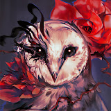 Down the Rabbit Hole