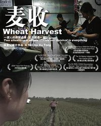 麦收