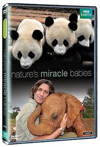 大自然的神奇宝贝