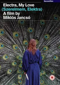 厄勒克特拉，我的爱