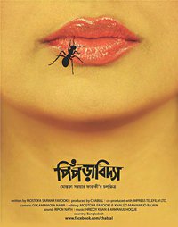 Ant Story
