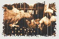 日本解放战线・三里塚之夏