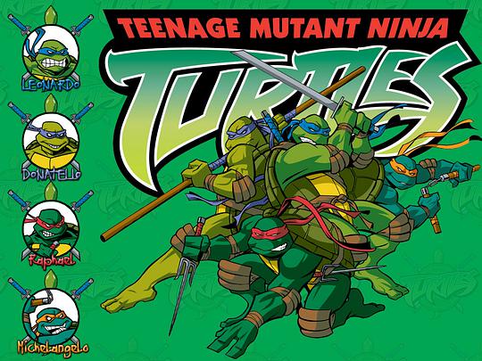 忍者神龟2003 (忍者神龟 第一季)