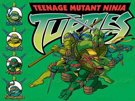 忍者神龟2003 (忍者神龟 第一季)