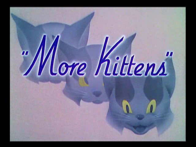 三只小孤儿猫续