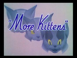 三只小孤儿猫续