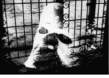 威尼斯和她的情人们