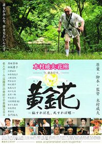 黄金花　秘すれば花　死すれば蝶