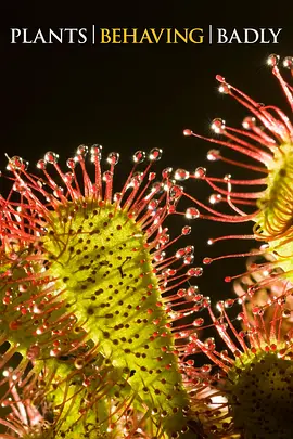 行为恶劣的植物