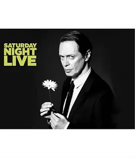 周六夜现场：史蒂夫·布西密/The Black Keys