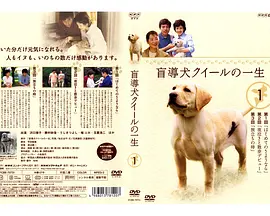 导盲犬小Q之一生