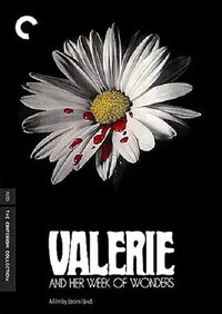 消失足迹的殿堂