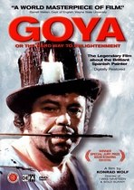 Goya, or sorely learning way