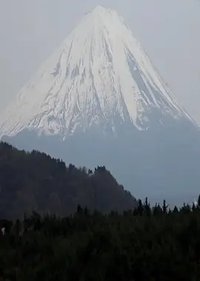 青木原森林
