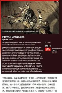 宠物：内心狂野