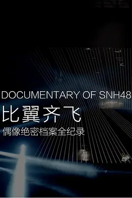 比翼齐飞——偶像绝密档案全纪录