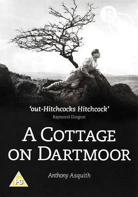 A Cottage on Dartmoor