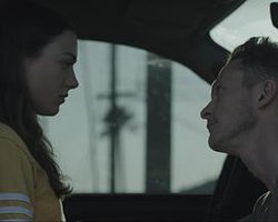 Palm Trees and Power Lines