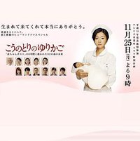 鹳鸟摇篮 “弃婴保护舱”六年中拯救的92条生命的未来