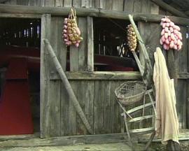 世界最大的影视城: 横店影视城