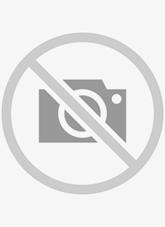 Mr. Dilemman: Shikijô-gurui