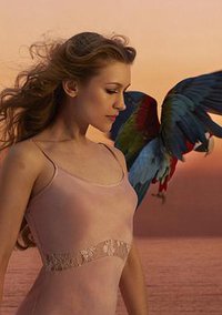 乔安娜·纽桑：萨波卡尼肯