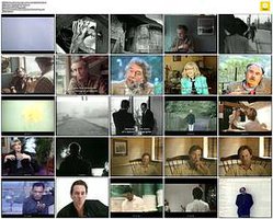 亲爱的安东尼奥尼