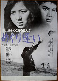 海鸥，你见过波光粼粼的大海吗？一次邂逅