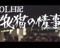 Office Lady Diary: Affair of a She-Cat