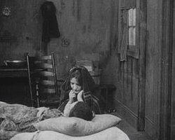 The Rose of Kentucky