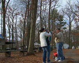 地平线系列：长生不老