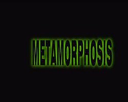 《黑衣人》变形