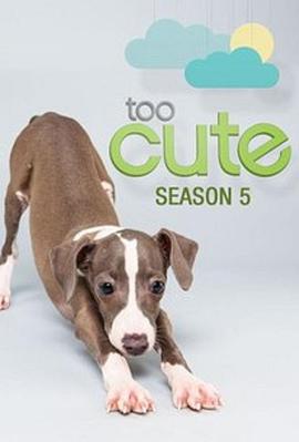 萌宠成长记 第五季